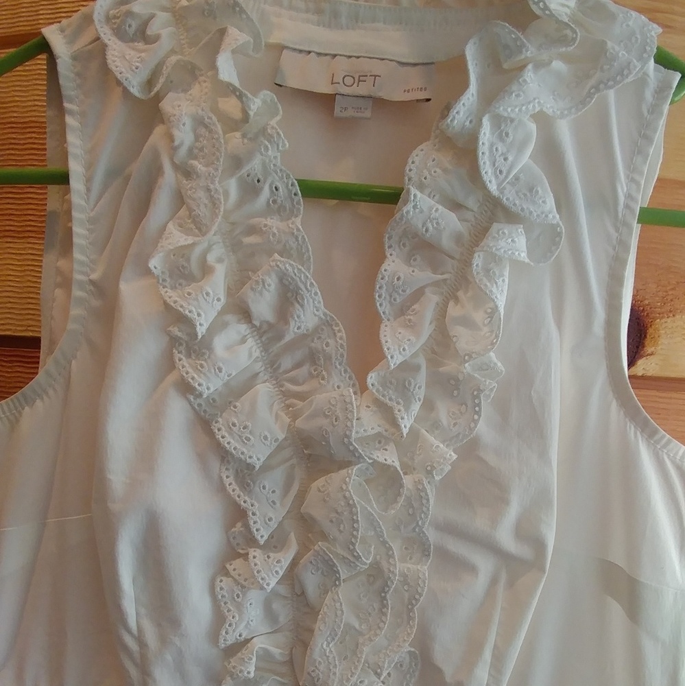 Gorgeous Loft Dress